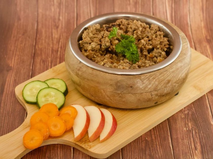 Toy Pudel Toypudel Züchter Rüde Hündin Welpen apricot Ernährung eines Toy Pudel Toypudel
