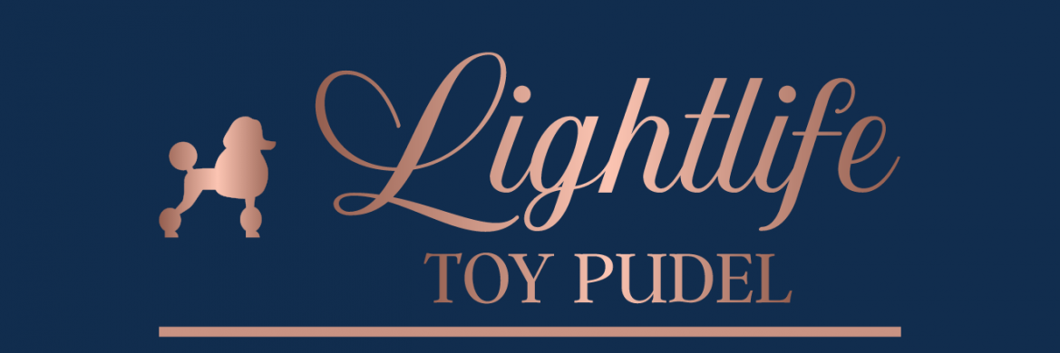 Lightlife Toy Pudel